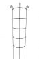 Preview: Staudenhalter HUGO  halbrund stabil Höhe 200 cm, Breite 45 cm Vollmaterial Rankhilfe Pflanzstütze Rankgitter