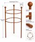 Preview: Beet-Staudenhalter FIX Ø 30 cm Höhe 50 cm Doppelring Durchmesser 30 cm 2-facher Ring Vollmaterial 6 mm