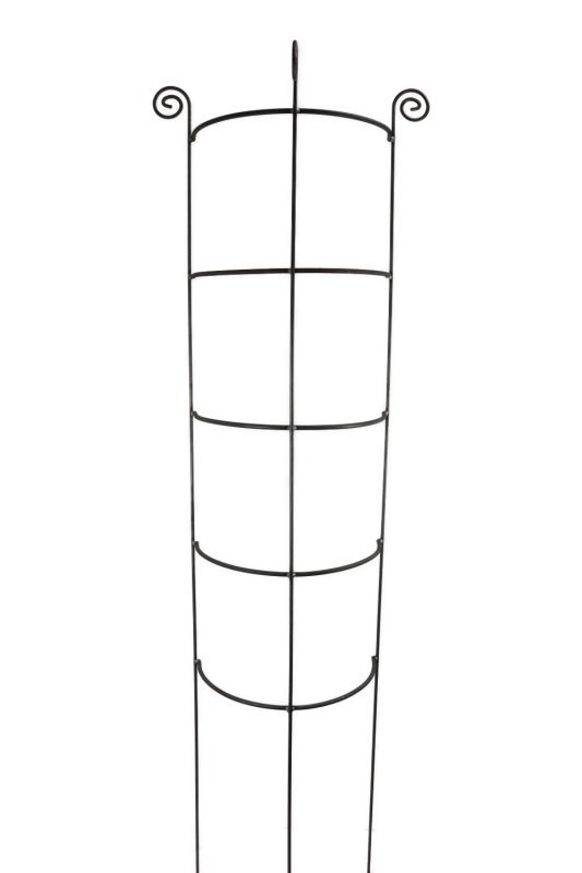 Staudenhalter HUGO  halbrund stabil Höhe 200 cm, Breite 45 cm Vollmaterial Rankhilfe Pflanzstütze Rankgitter